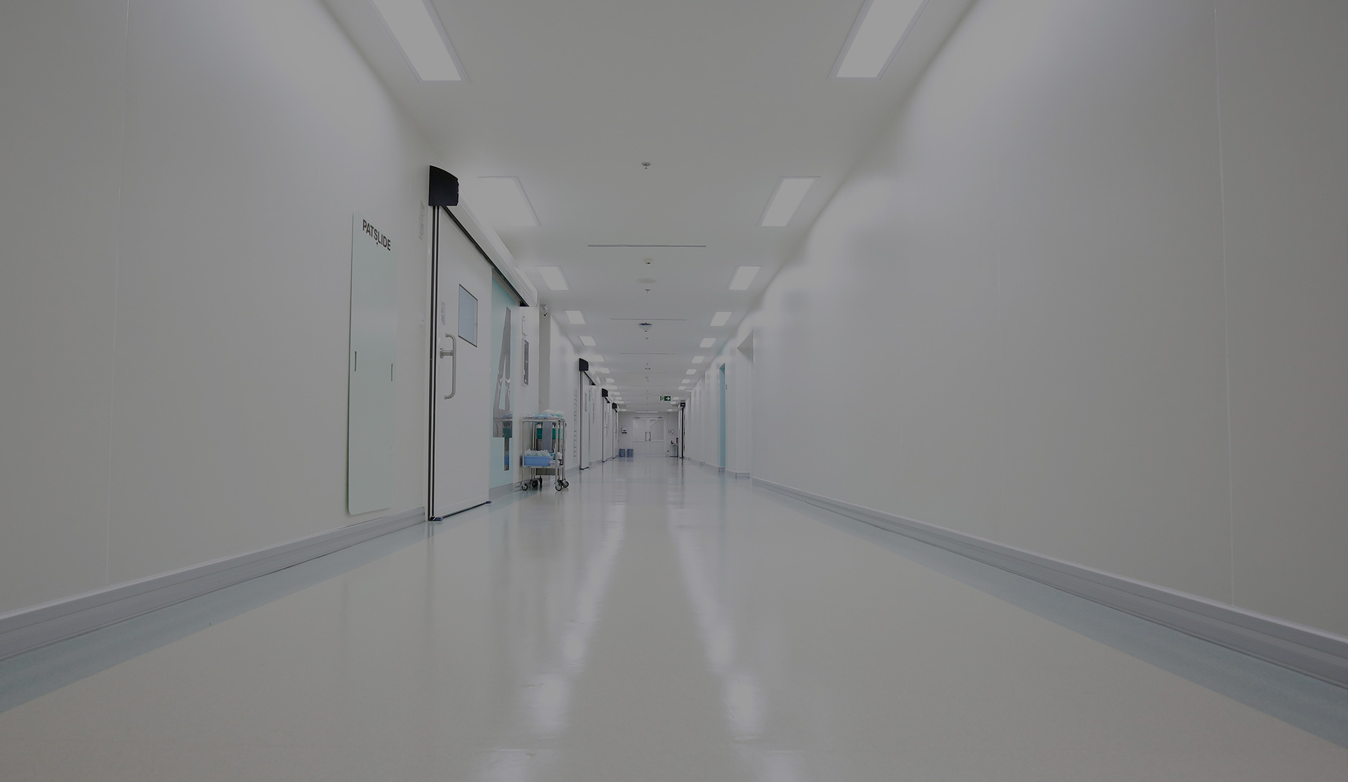 hjc888黄金城--手机版app官网